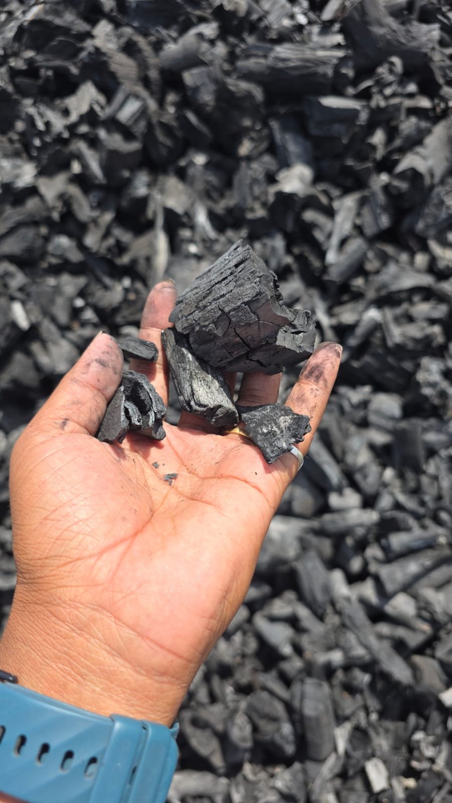 Inspecting Biochar Sample